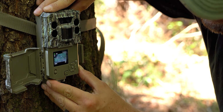 Trail Camera Buyer's Guide