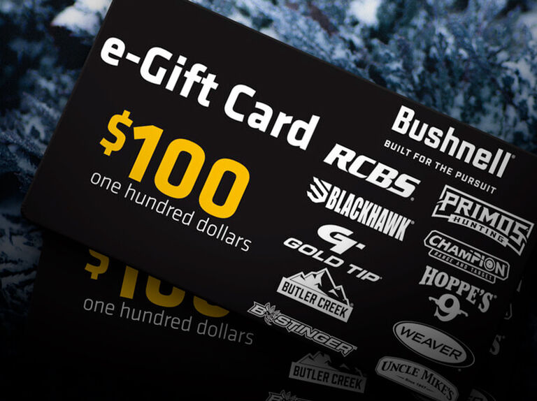 Graphic of e-Gift Card on a rocky terrain